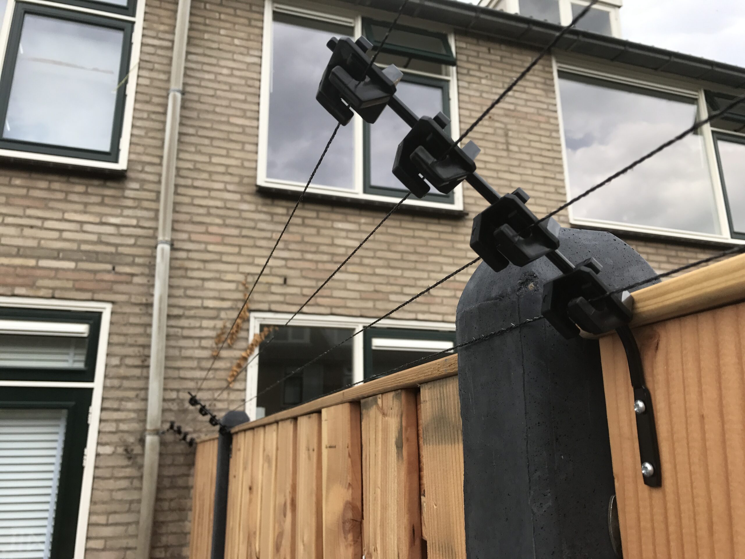 Hoe kan ik mijn kat in de tuin houden? | Schrikdraad Online
