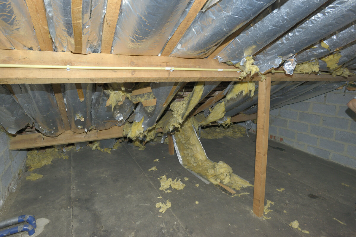 oe komt een steenmarter je huis binnen?